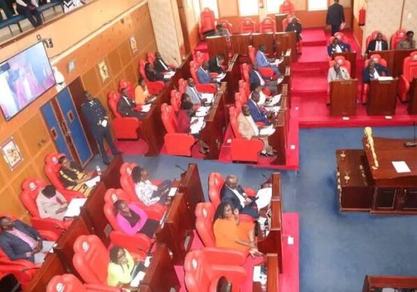 Chaos at Busia County Assembly after two MCAs exchange blows » Capital News