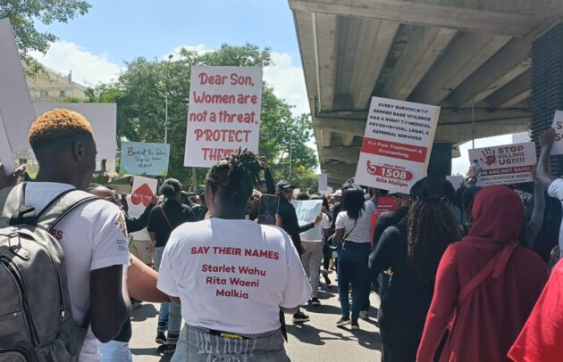 Panel On Gender-Based Violence and Femicide commences public hearings » Capital News