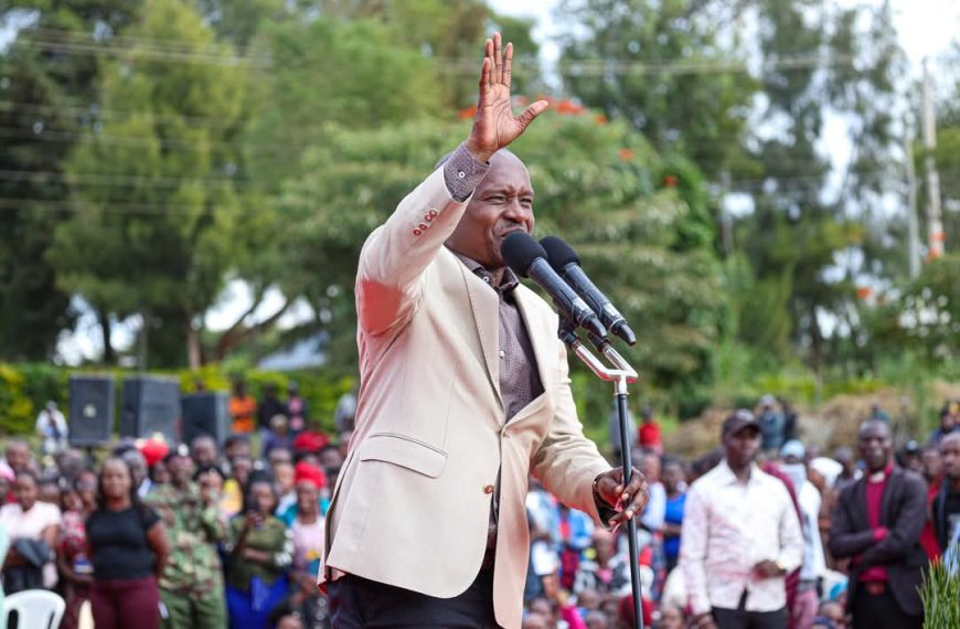 Every part of Kenya will benefit from development, DP affirms
