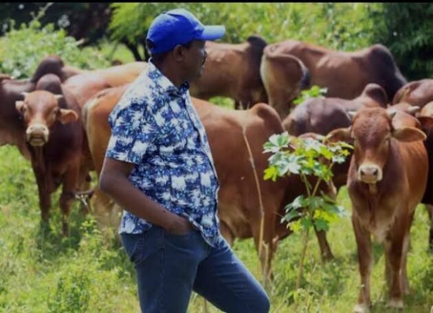Will Kalonzo Be Lured to Kenya Kwanza? Kindiki’s Ukambani Visit Signify Political Overture » Capital News