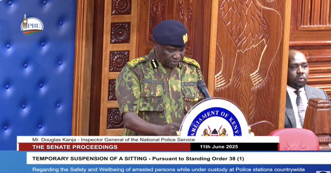 IG Kanja details events leading to death of Albert Ojwang