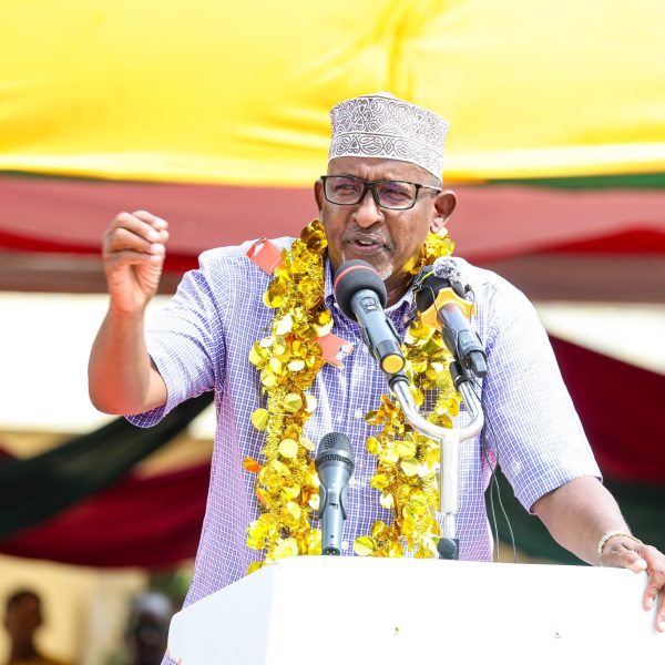 Duale on Gachagua Diaspora meetings » Capital News