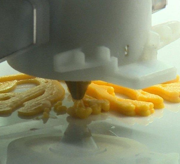 yuck or yes? Researchers ask South African consumers » Capital News