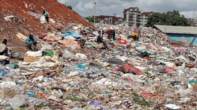 Kenya Launches Responsible Sourcing Drive to Protect Waste Pickers » Capital News
