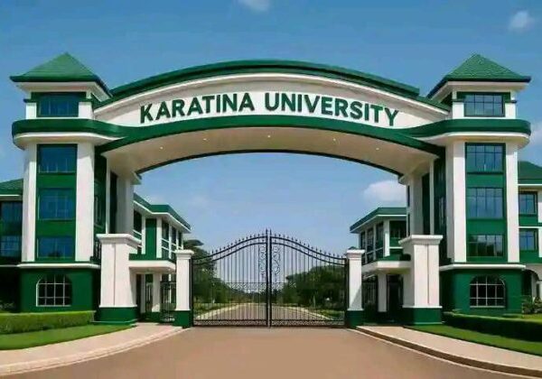 Audit report shows Karatina University ex-VC Muchiri paid himself Sh13.4mn gratuity before retirement » Capital News