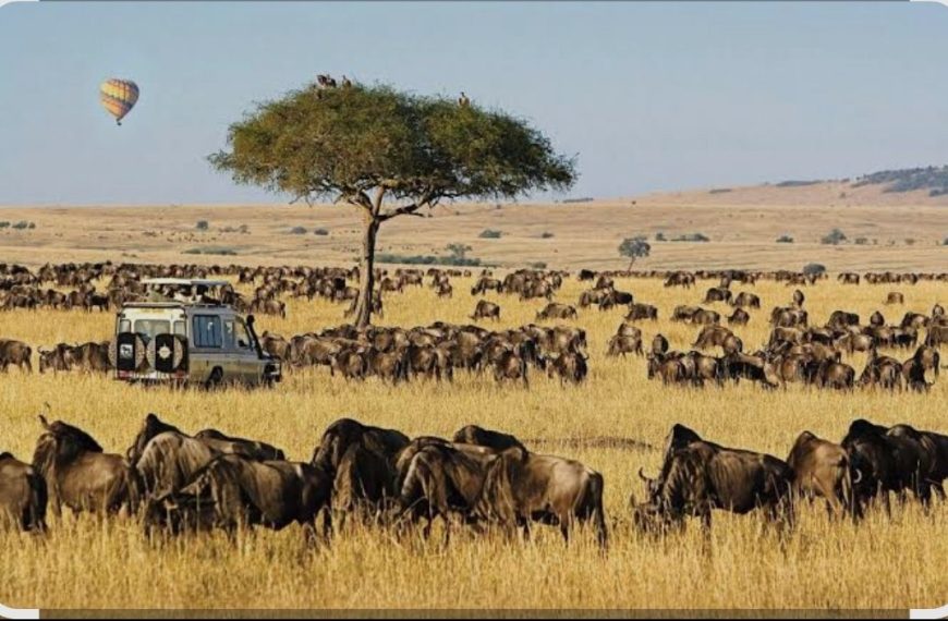 Maasai Mara included in the World Book of Records, UK » Capital News