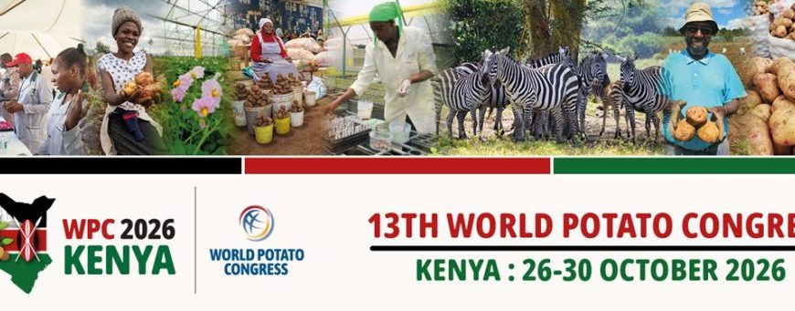 Kenya to Host 13th World Potato Congress in 2026