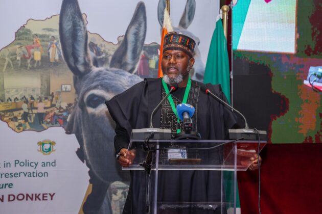 Africa Unites to Save Donkeys as PADCO-2 Validates Historic Strategy » Capital News