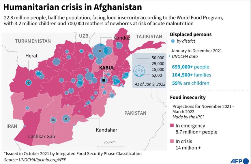 Afghan Refugees Face Mounting Pressure as Deportations Intensify Amid Aid Cuts and Taliban Crackdown » Capital News