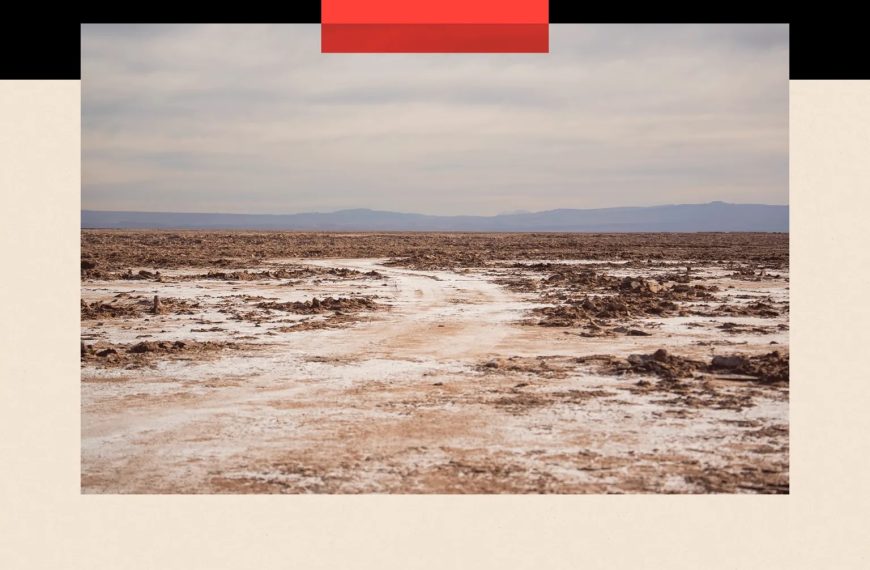 How the rise of green tech is feeding another environmental crisis » Capital News