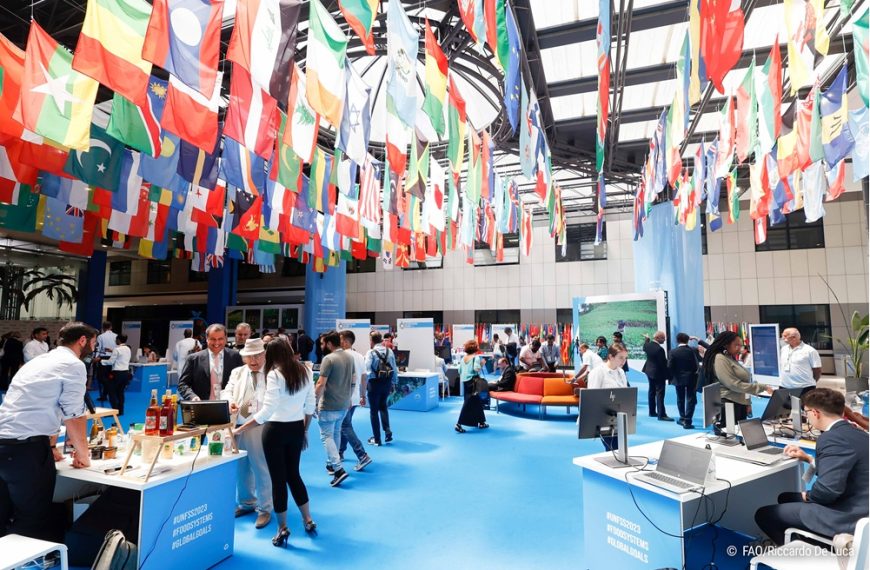 Ruto to champion food systems reform at UN summit in Ethiopia