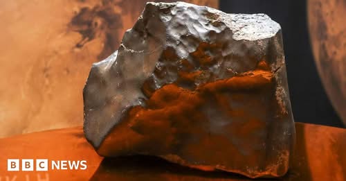 Mars rock found in Niger sells for millions in New York