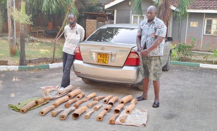 Burundians charged in Mombasa over illegal possession of elephant tusks » Capital News
