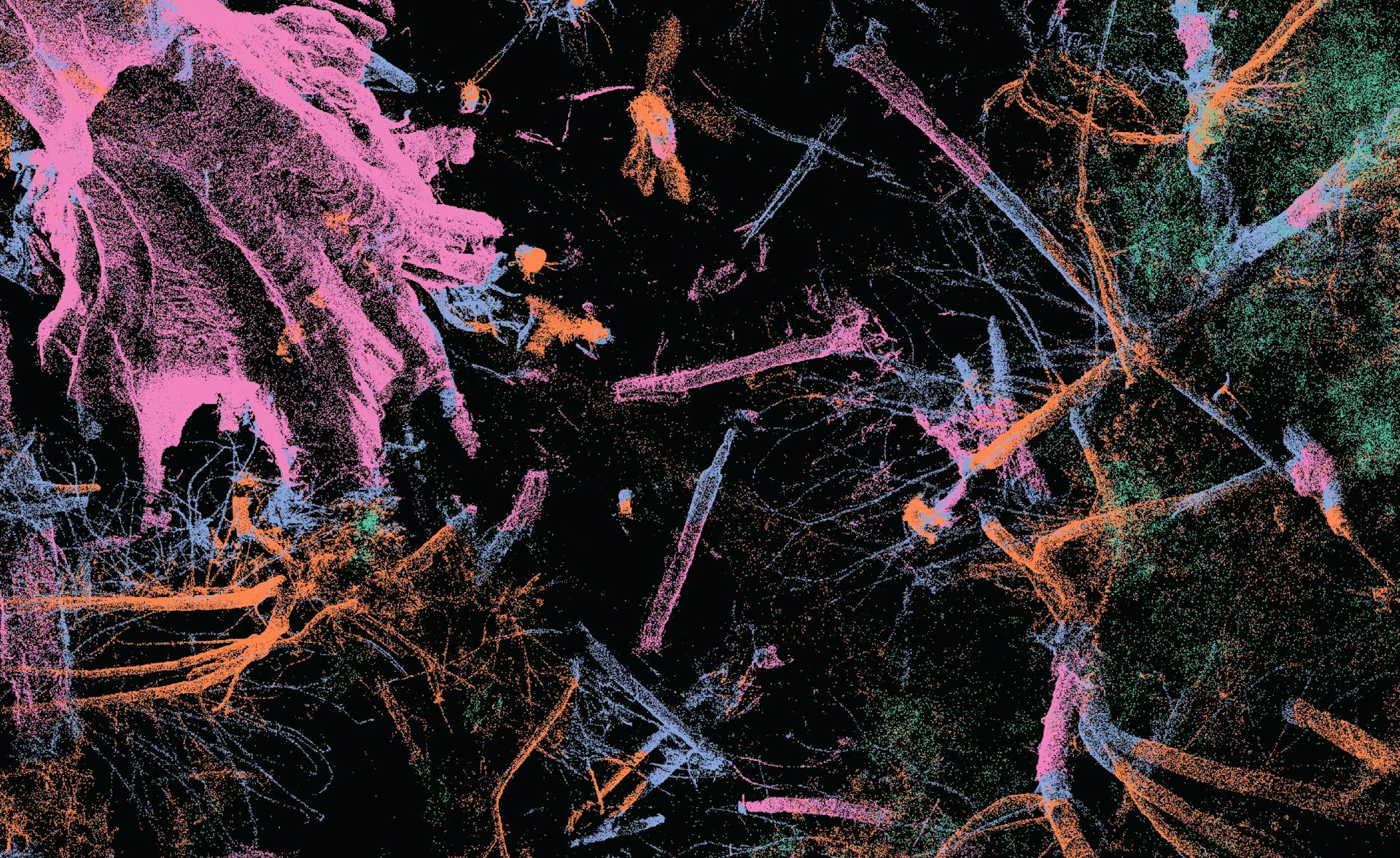 A laser scan of the forest floor with objects identified by artificial intelligence.