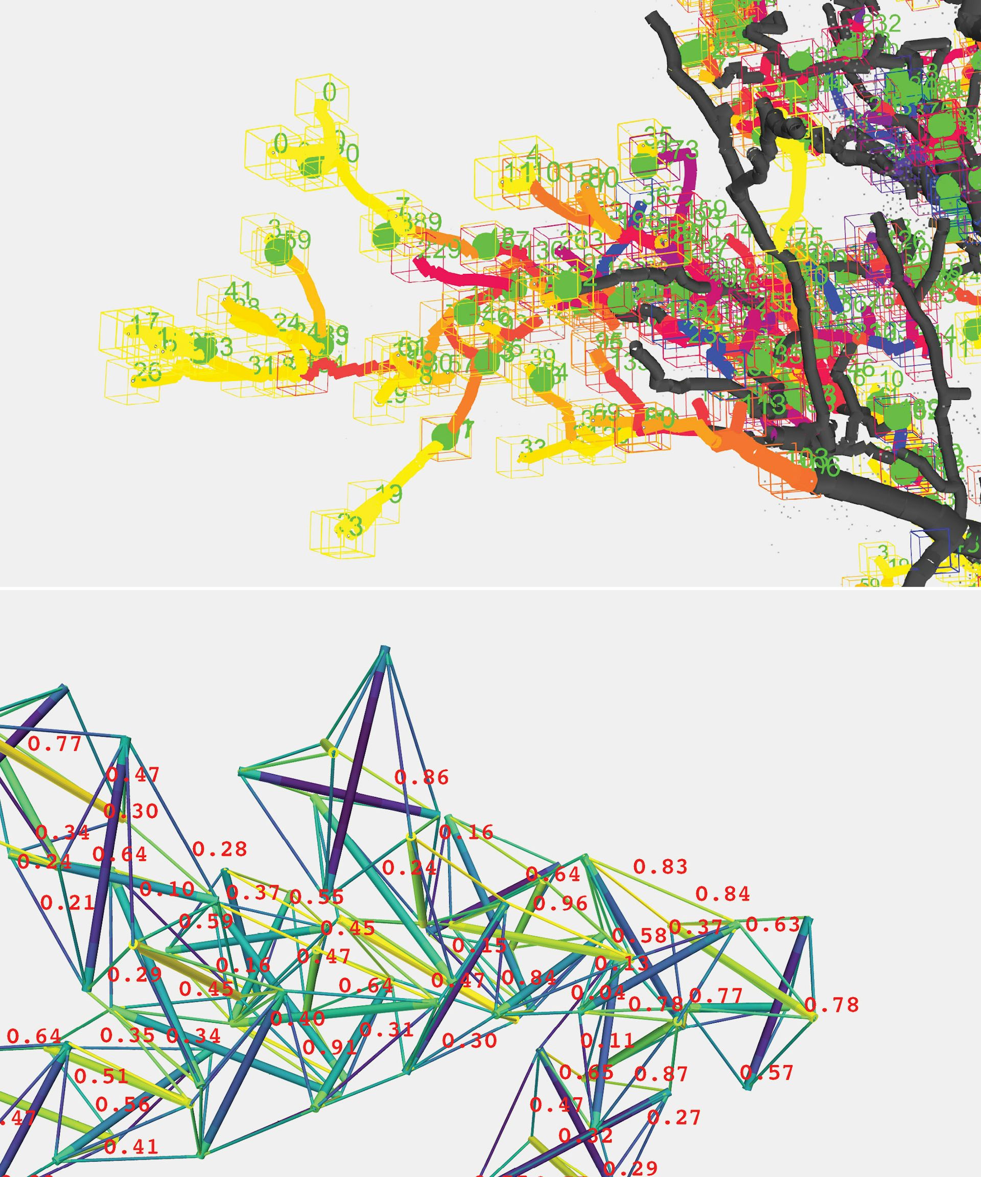 Comparative analysis of living and artificial branches. Top: branch segments identified in scanned tree data. Bottom: a potential replacement design assessed against the same constraints.