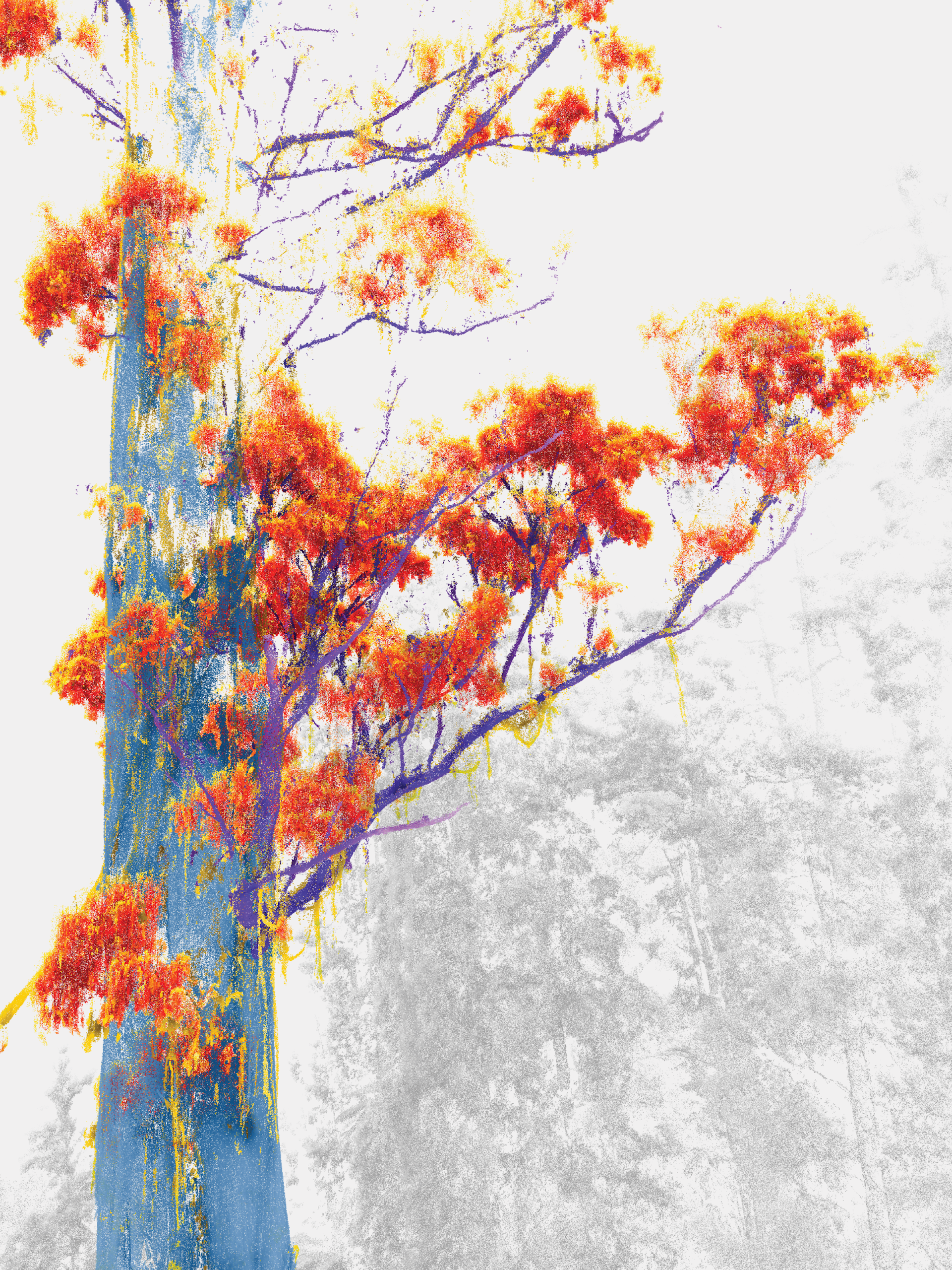 In this image of a tree trunk, artificial intelligence (AI) was used to identify objects at the branch scale. Blue = trunk, purple = branches, red = leaves, yellow = bark streamers, grey = surrounding vegetation.